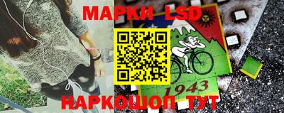 spice Славгород