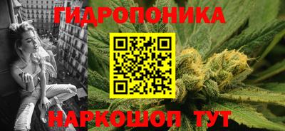 spice Славгород