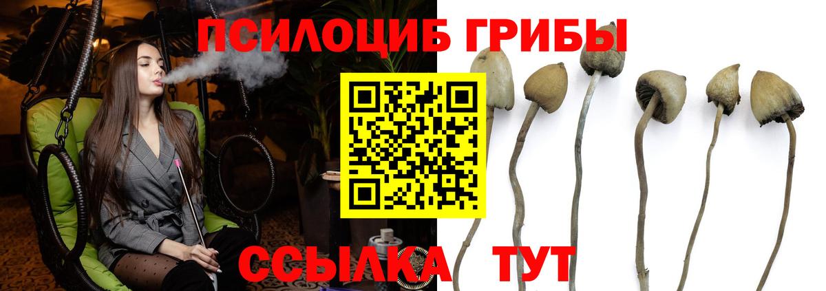 Саянск  Псилоцибиновые грибы GOLDEN TEACHER  Галлюциногенные грибы Cubensis  Вход с VPN 